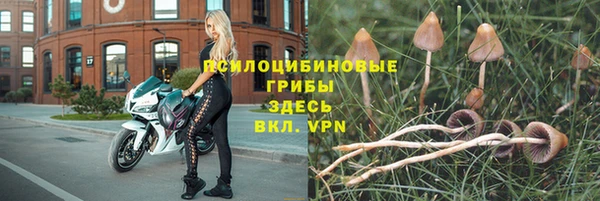 мдпв Няндома