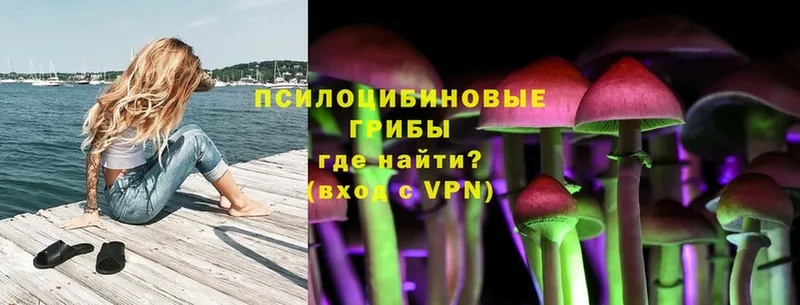 Псилоцибиновые грибы ЛСД  hydra вход  Константиновск 